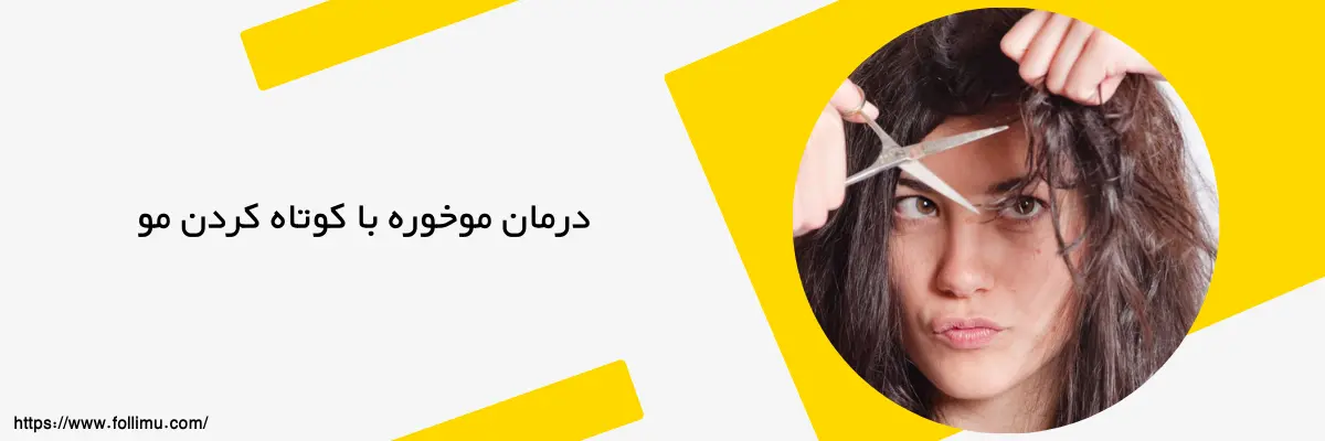 تصویر کوتاه کردن مو برای درمان موخوره 