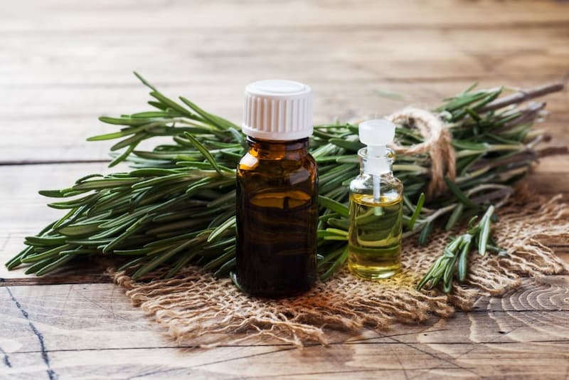 تأثیرات مفید رزماری