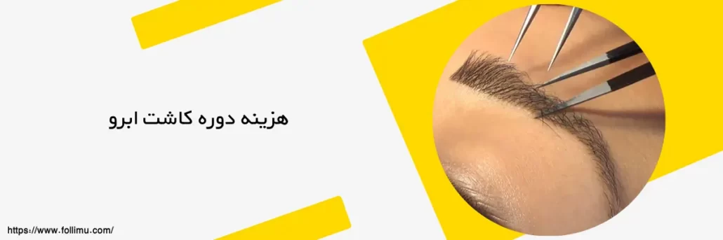 هزینه دوره کاشت ابرو در مشهد